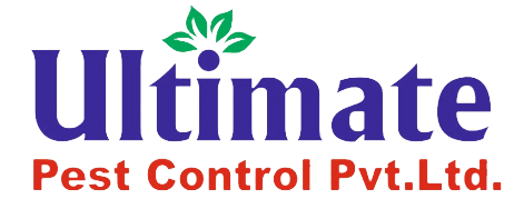 Ultimate Pest Control Ahmedabad